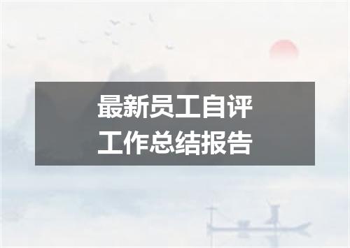 最新员工自评工作总结报告