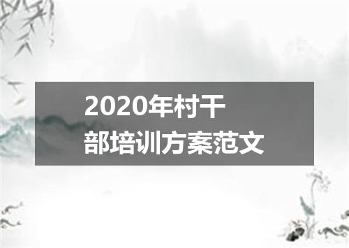 2020年村干部培训方案范文