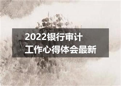 2022银行审计工作心得体会最新