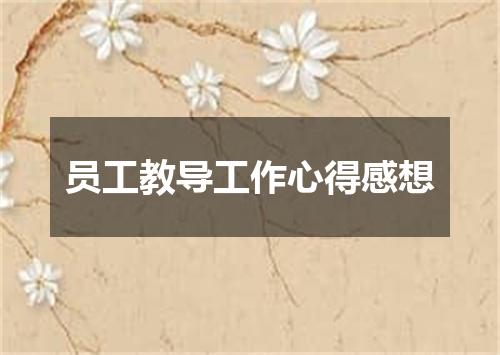 员工教导工作心得感想