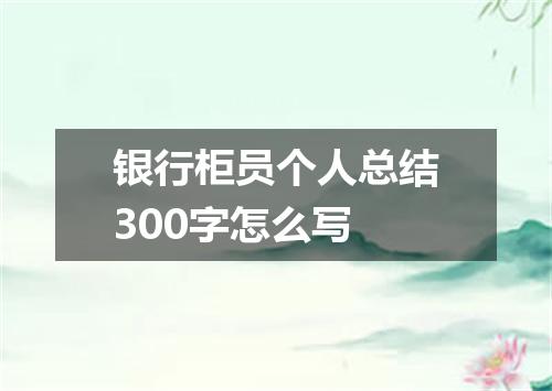 银行柜员个人总结300字怎么写