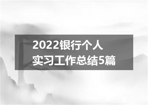 2022银行个人实习工作总结5篇