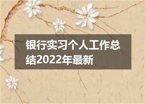 银行实习个人工作总结2022年最新