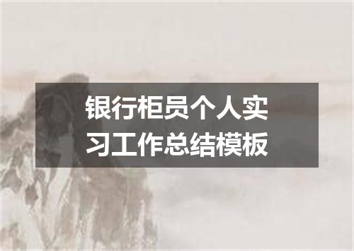 银行柜员个人实习工作总结模板