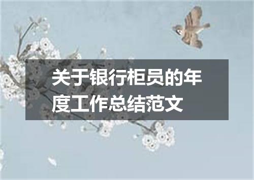 关于银行柜员的年度工作总结范文