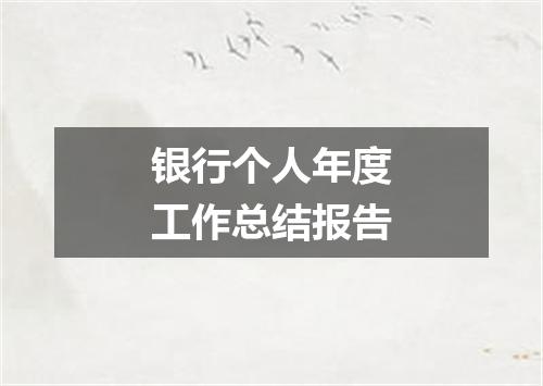银行个人年度工作总结报告