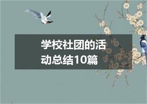 学校社团的活动总结10篇