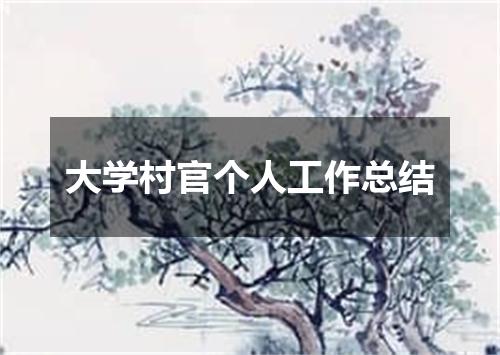 大学村官个人工作总结