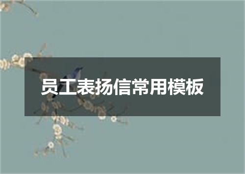 员工表扬信常用模板