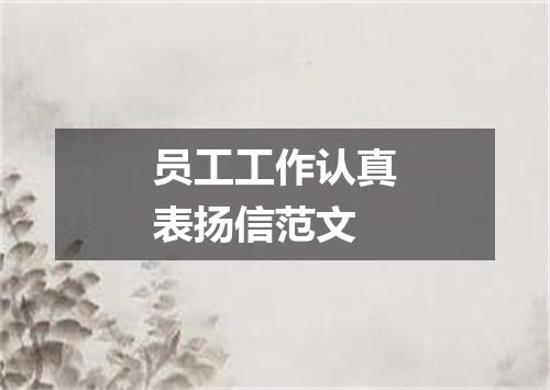 员工工作认真表扬信范文