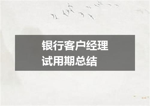 银行客户经理试用期总结