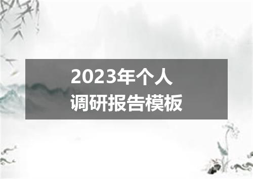 2023年个人调研报告模板