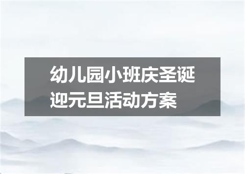 幼儿园小班庆圣诞迎元旦活动方案