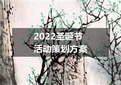2022圣诞节活动策划方案