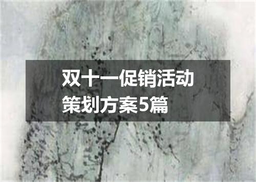 双十一促销活动策划方案5篇