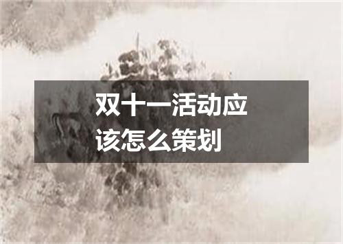 双十一活动应该怎么策划