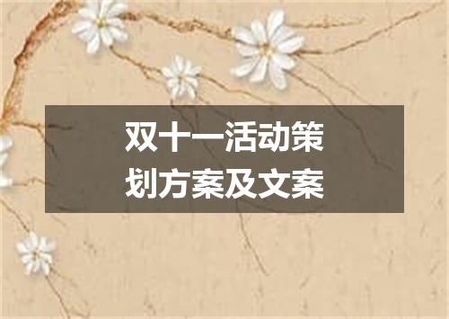 双十一活动策划方案及文案