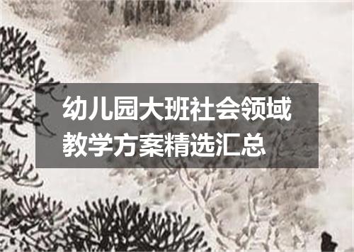 幼儿园大班社会领域教学方案精选汇总