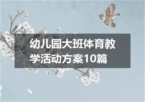 幼儿园大班体育教学活动方案10篇