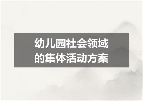 幼儿园社会领域的集体活动方案