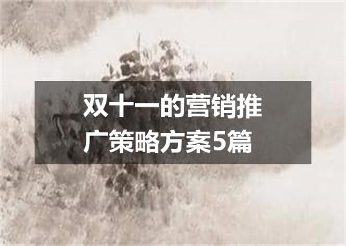 双十一的营销推广策略方案5篇