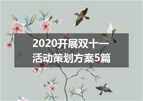 2020开展双十一活动策划方案5篇