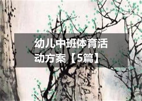 幼儿中班体育活动方案【5篇】