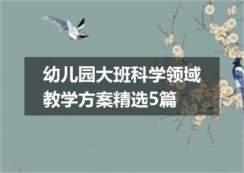 幼儿园大班科学领域教学方案精选5篇