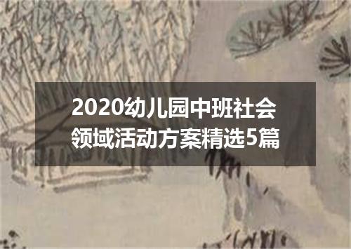 2020幼儿园中班社会领域活动方案精选5篇