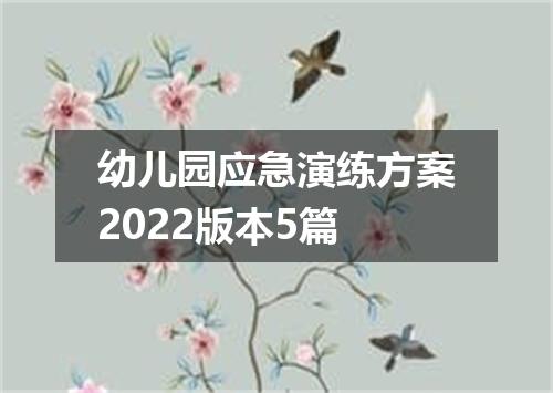 幼儿园应急演练方案2022版本5篇