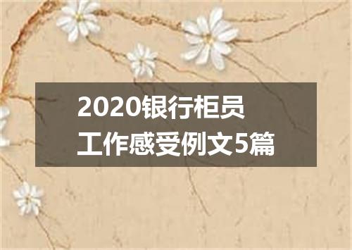 2020银行柜员工作感受例文5篇