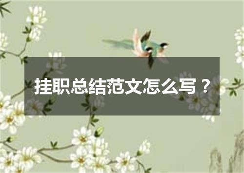 挂职总结范文怎么写？