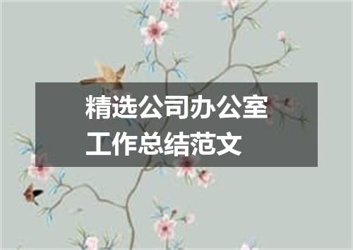 精选公司办公室工作总结范文