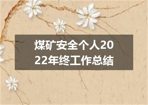 煤矿安全个人2022年终工作总结