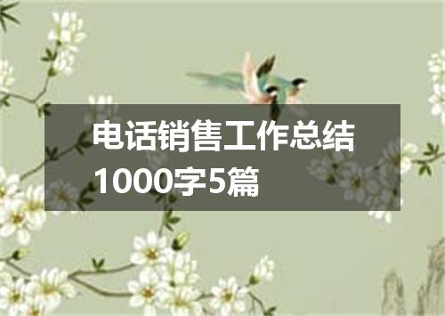 电话销售工作总结1000字5篇
