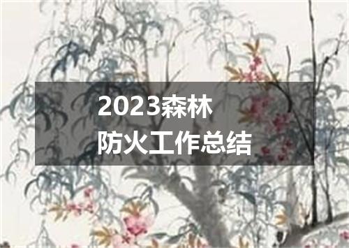 2023森林防火工作总结