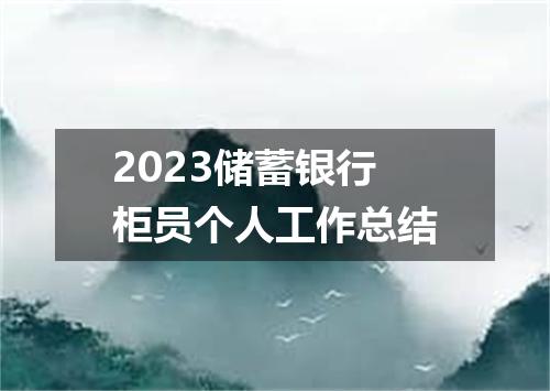 2023储蓄银行柜员个人工作总结
