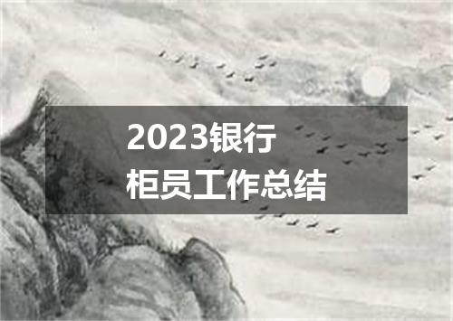 2023银行柜员工作总结