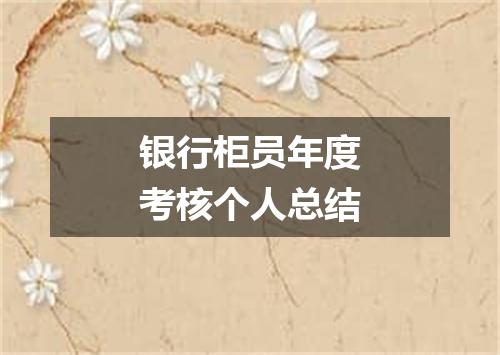 银行柜员年度考核个人总结