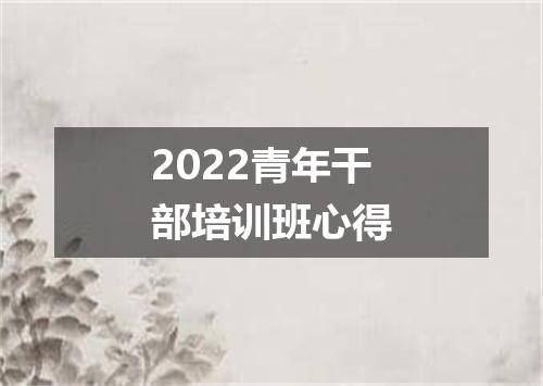 2022青年干部培训班心得