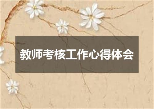 教师考核工作心得体会