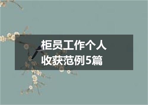 柜员工作个人收获范例5篇