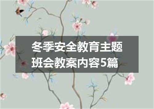 冬季安全教育主题班会教案内容5篇