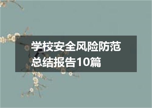 学校安全风险防范总结报告10篇
