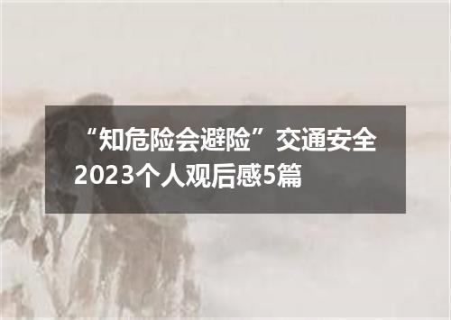 “知危险会避险”交通安全2023个人观后感5篇