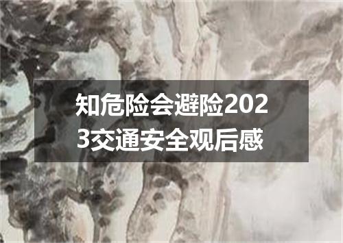 知危险会避险2023交通安全观后感