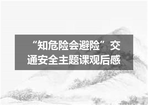 “知危险会避险”交通安全主题课观后感