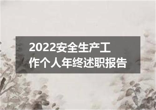 2022安全生产工作个人年终述职报告