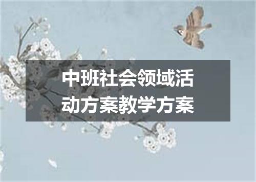 中班社会领域活动方案教学方案