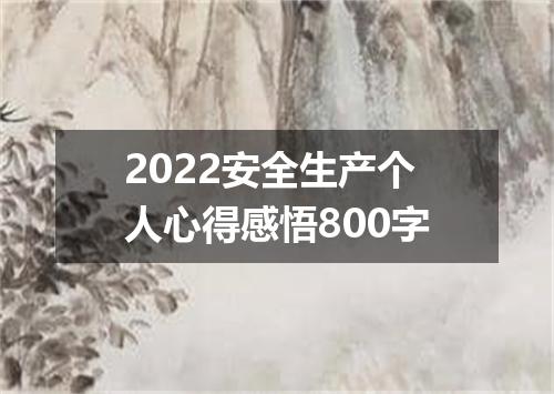 2022安全生产个人心得感悟800字